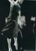 SWScan00080
